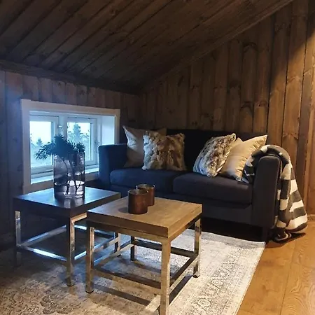 Beautiful Cabin At Lifjell Perfectly Located For Hiking And Skiing With Sauna Bo (Telemark) Exterior photo