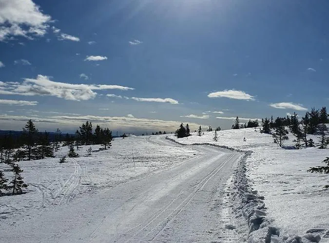 Beautiful Cabin At Lifjell Perfectly Located For Hiking And Skiing With Sauna
