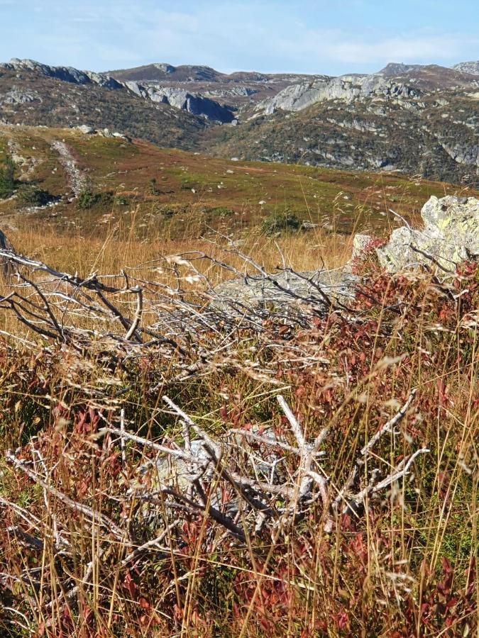 Beautiful At Lifjell Perfectly Located For Hiking And Skiing With Sauna *