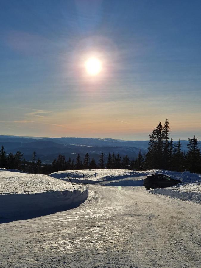 Beautiful At Lifjell Perfectly Located For Hiking And Skiing With Sauna Hébergement de vacances