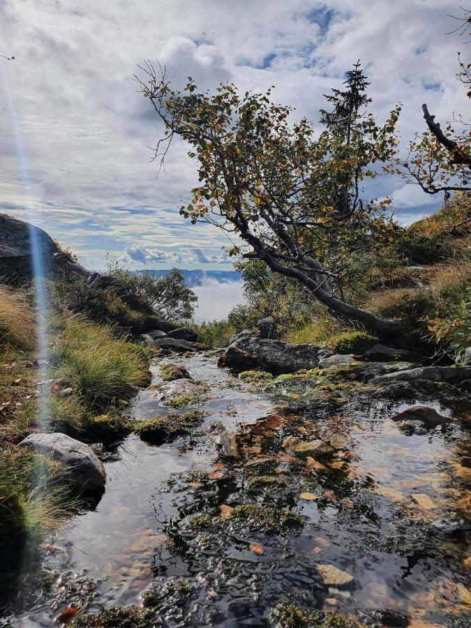 Hébergement de vacances Beautiful At Lifjell Perfectly Located For Hiking And Skiing With Sauna Bo (Telemark)