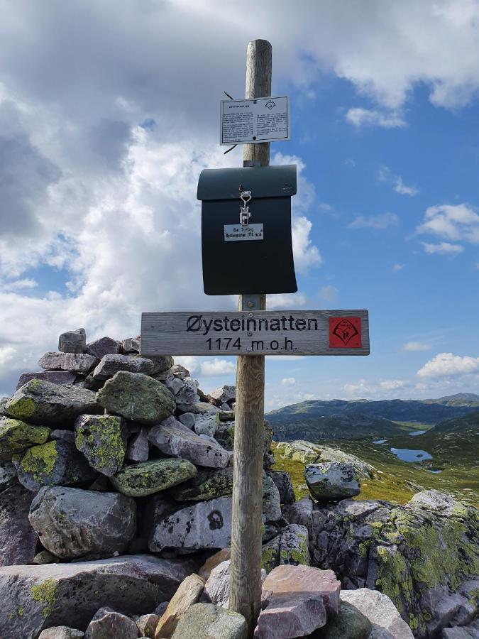 Beautiful At Lifjell Perfectly Located For Hiking And Skiing With Sauna * Bo (Telemark)