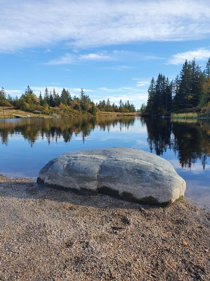 Beautiful At Lifjell Perfectly Located For Hiking And Skiing With Sauna * Bo (Telemark)