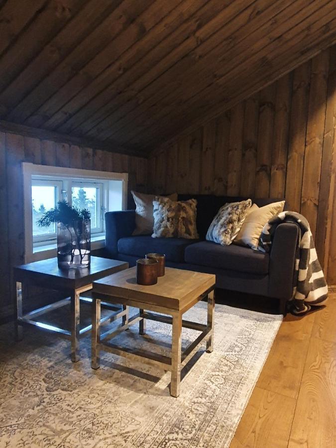 Beautiful At Lifjell Perfectly Located For Hiking And Skiing With Sauna * Bo (Telemark)
